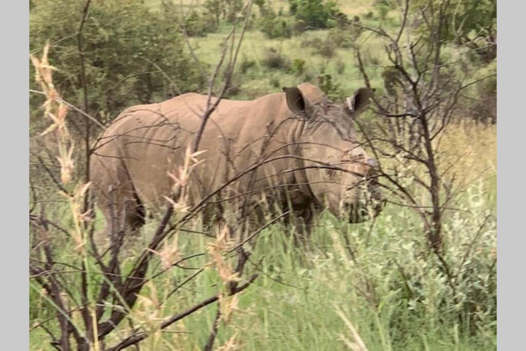 Rhino House With 3 Bedrooms Next To Pilanesberg And Sun City Mogwase Exterior foto